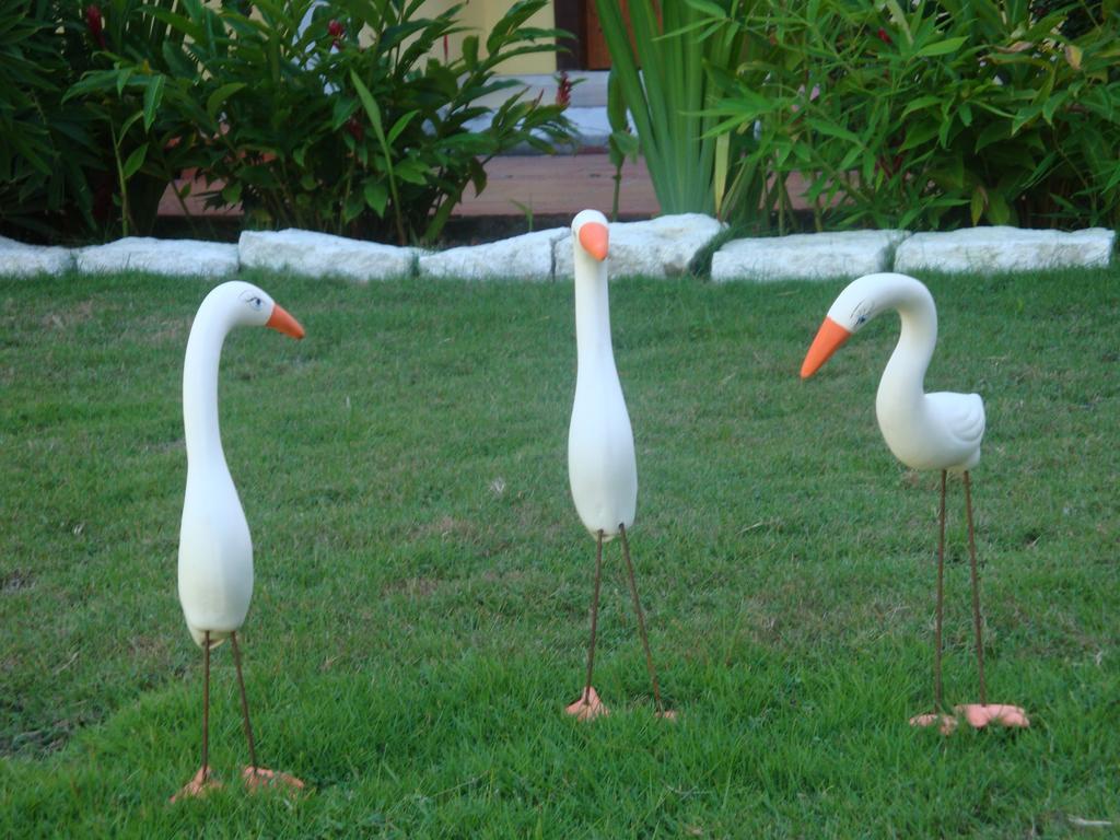 Hotel Porto Garden Porto Seguro Dış mekan fotoğraf